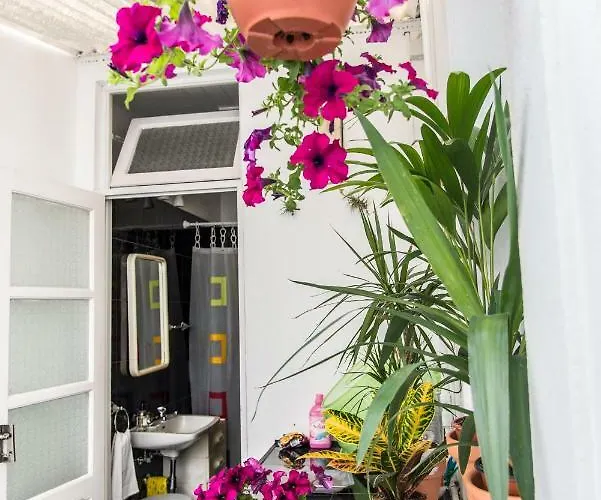 Cosy Flat In Center Ponta Delgada