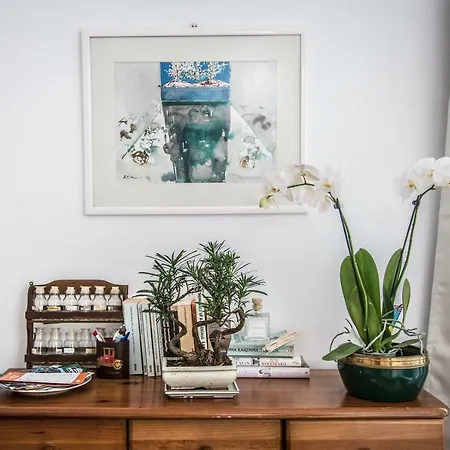 Cosy Flat In Center *