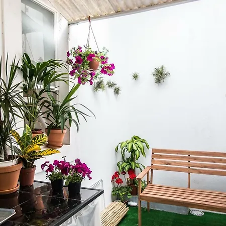 公寓 Cosy Flat In Center