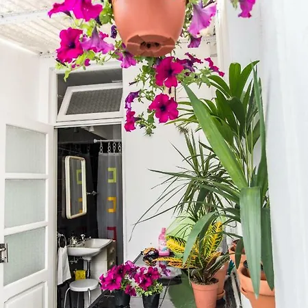 Cosy Flat In Center Ponta Delgada